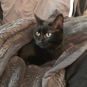 Meet your Posher, Joshua